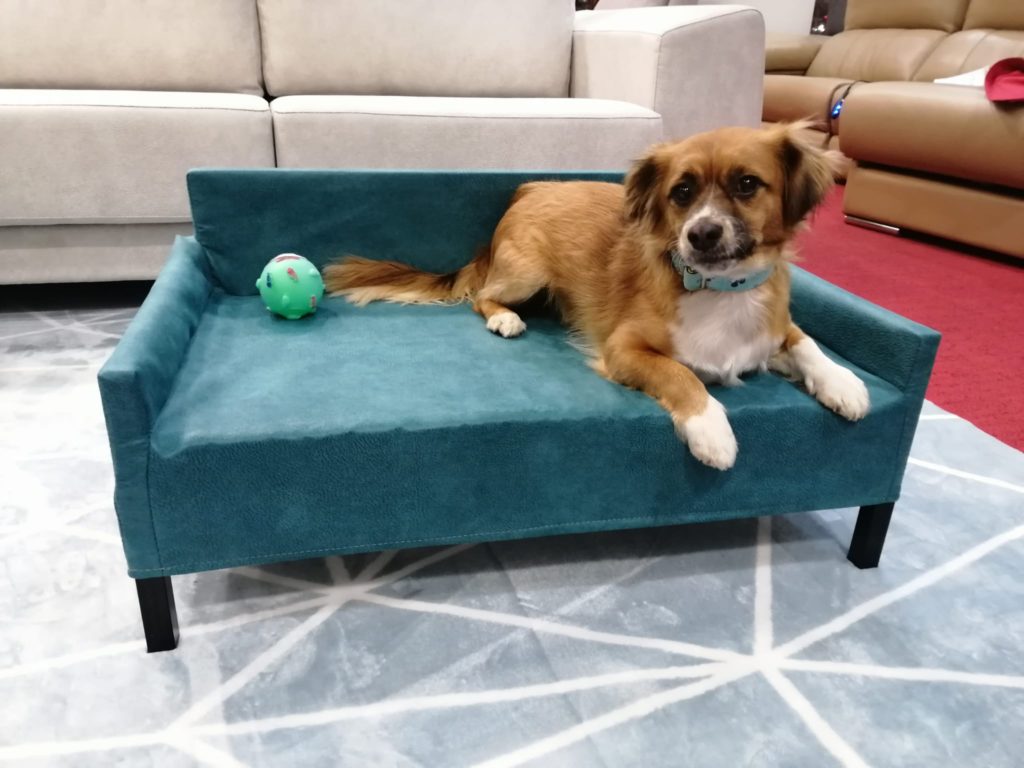 sofa-mascotas-azul